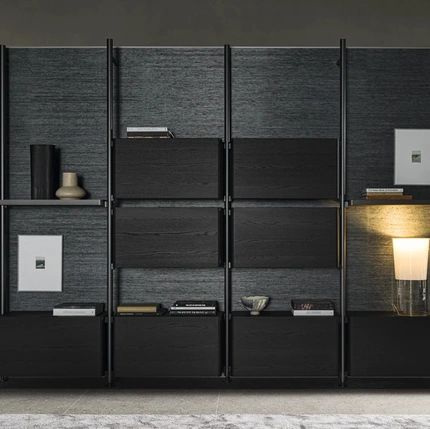 Hector bookcase in aluminum and wood by Molteni & C