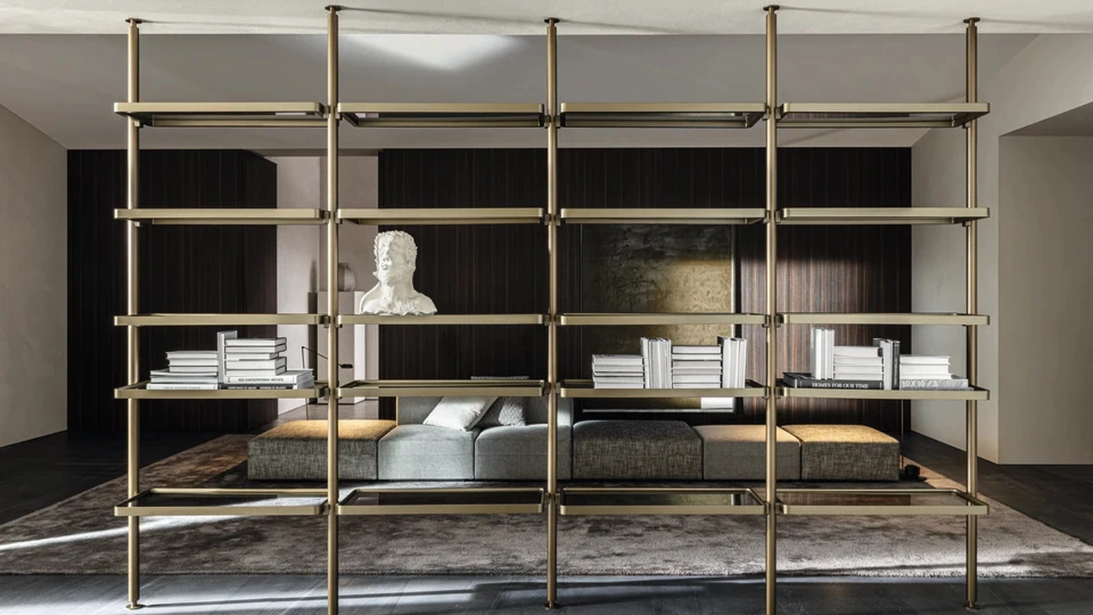 Hector aluminum partition bookcase by Molteni & C
