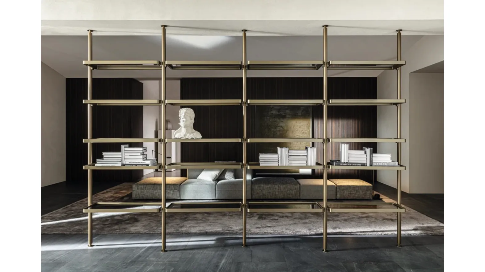 Hector aluminum partition bookcase by Molteni & C